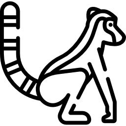 Lemur icon