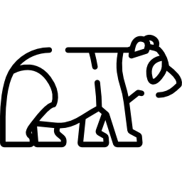 pandabär icon