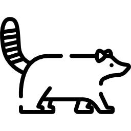 Racoon icon