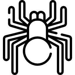 Spider icon