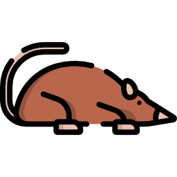 Shrew icon