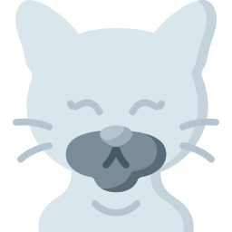 猫 icon