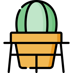 Cactus icon