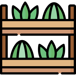 Plants icon