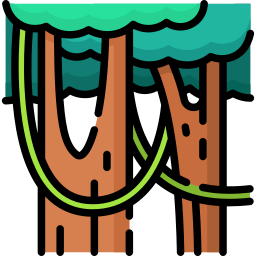 Rainforest icon