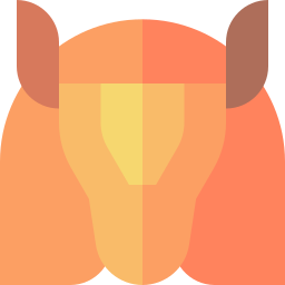 Armadillo icon