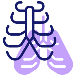 tórax Ícone