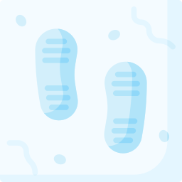 Footprint icon