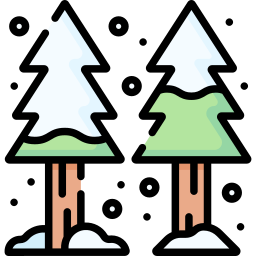 Pine tree icon