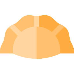 gyoza icon