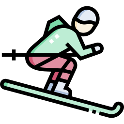 ski icon