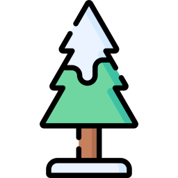 Pine icon