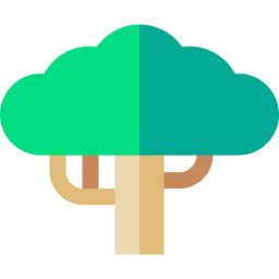 Baobab icon