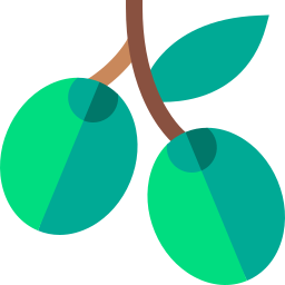 Olive icon