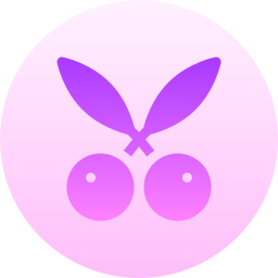 beeren icon