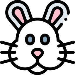 Bunny icon