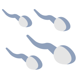 Sperm icon