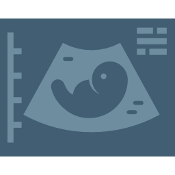 Ultrasound icon