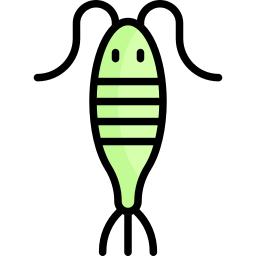 plankton ikona