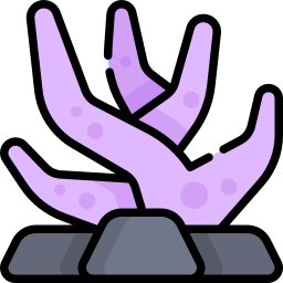 Coral icon