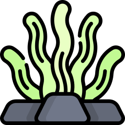 Seaweed icon