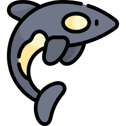 Killer whale icon