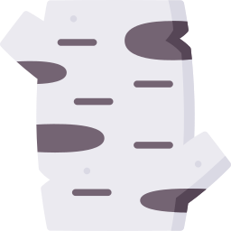 Birch tree icon