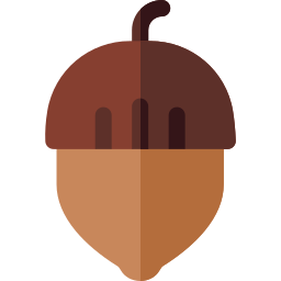 Hazelnut icon