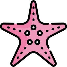 Starfish icon