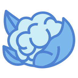 Cauliflower icon