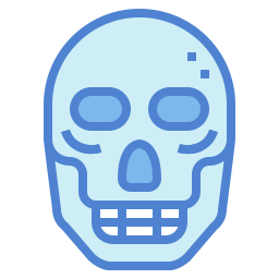 Skull icon