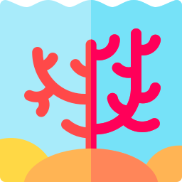 Coral icon