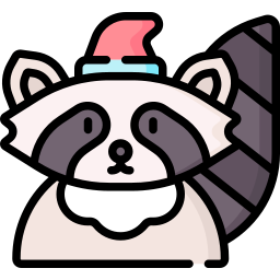 Raccoon icon