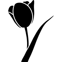 Flower shape icon