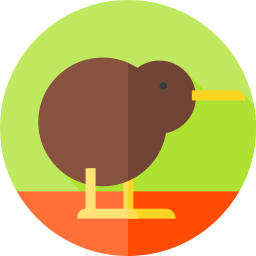 Kiwi icon