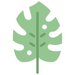 monstera 잎 icon