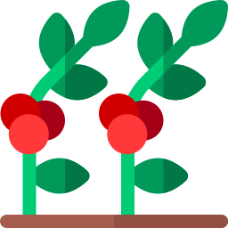 Coffee plant icon