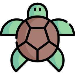 Turtle icon