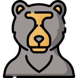 Bear icon