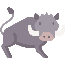 Boar icon