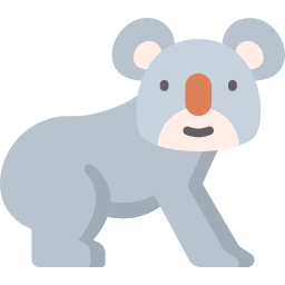 koala icoon