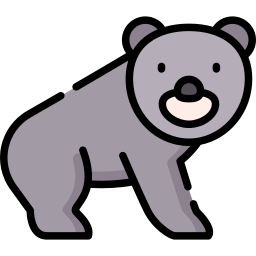 urso Ícone