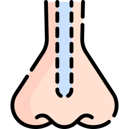 rhinoplastie Icône