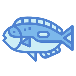 blue tang fisch icon