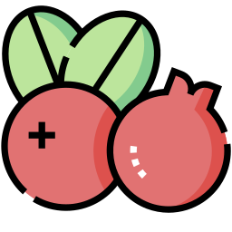 Cranberry icon