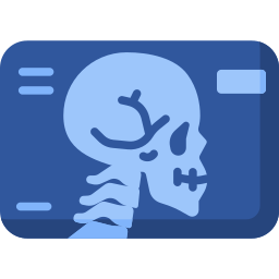 X ray icon