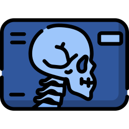 X ray icon