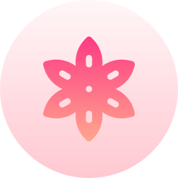 Anise icon