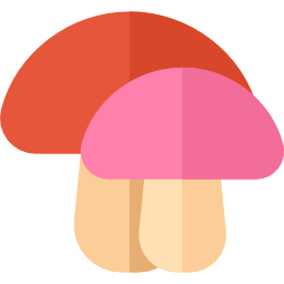 champignon Icône