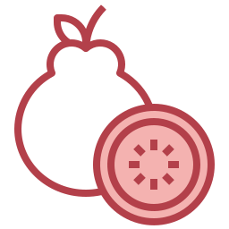 Guava icon